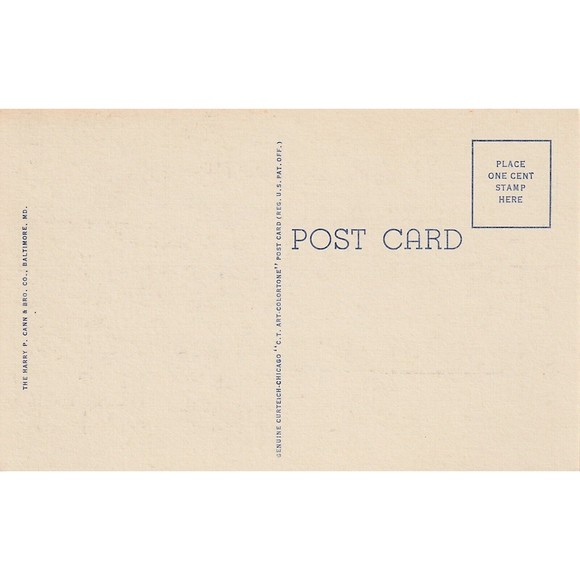 Norfolk Museum Of Arts And Science Street View Virginia VA Postcard Curteich - Picture 2 of 2